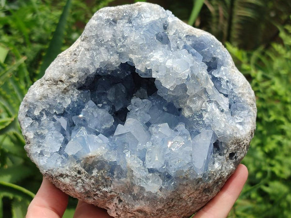 Natural Large Blue Celestite Specimen x 1 From Sakoany, Madagascar
