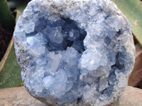 Natural Large Blue Celestite Specimen x 1 From Sakoany, Madagascar