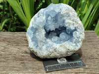 Natural Large Blue Celestite Specimen x 1 From Sakoany, Madagascar