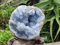 Natural Large Blue Celestite Specimen x 1 From Sakoany, Madagascar