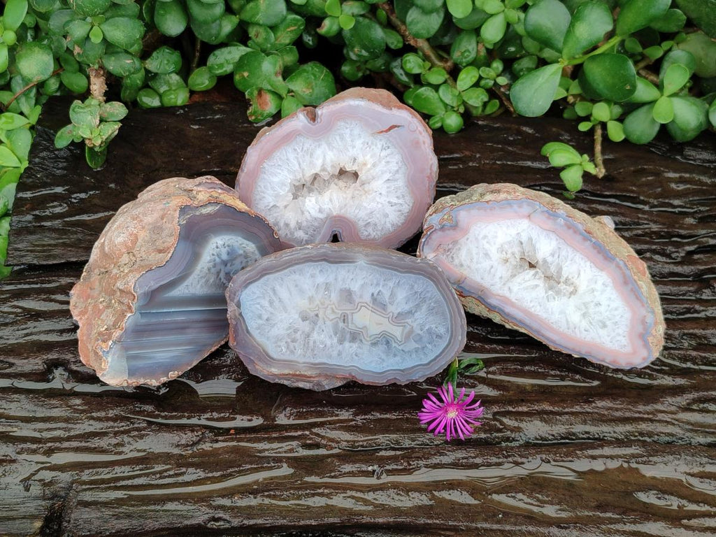 Polished On One Side Red Shashe River Agate Nodules x 4 From Shashe River, Zimbabwe
