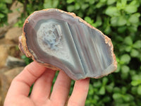 Polished On One Side Red Shashe River Agate Nodules x 4 From Shashe River, Zimbabwe