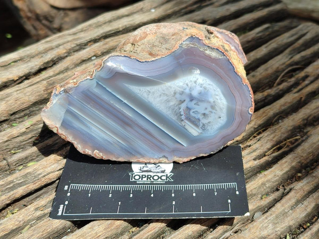 Polished On One Side Red Shashe River Agate Nodules x 4 From Shashe River, Zimbabwe