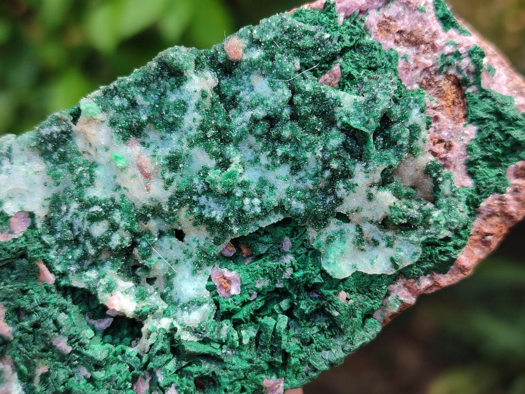 Natural Drusy Coated Malachite On Dolomite Specimens x 4 From Lupoto Mine, Congo