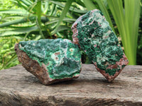 Natural Drusy Coated Malachite On Dolomite Specimens x 4 From Lupoto Mine, Congo