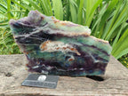 Polished Large Watermelon Fluorite Slice x 1 From Uis, Namibia
