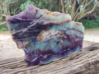 Polished Large Watermelon Fluorite Slice x 1 From Uis, Namibia