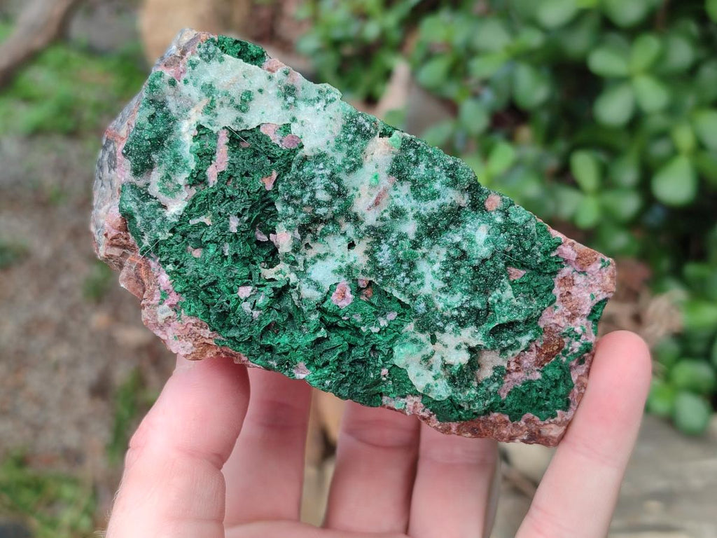Natural Drusy Coated Malachite On Dolomite Specimens x 4 From Lupoto Mine, Congo
