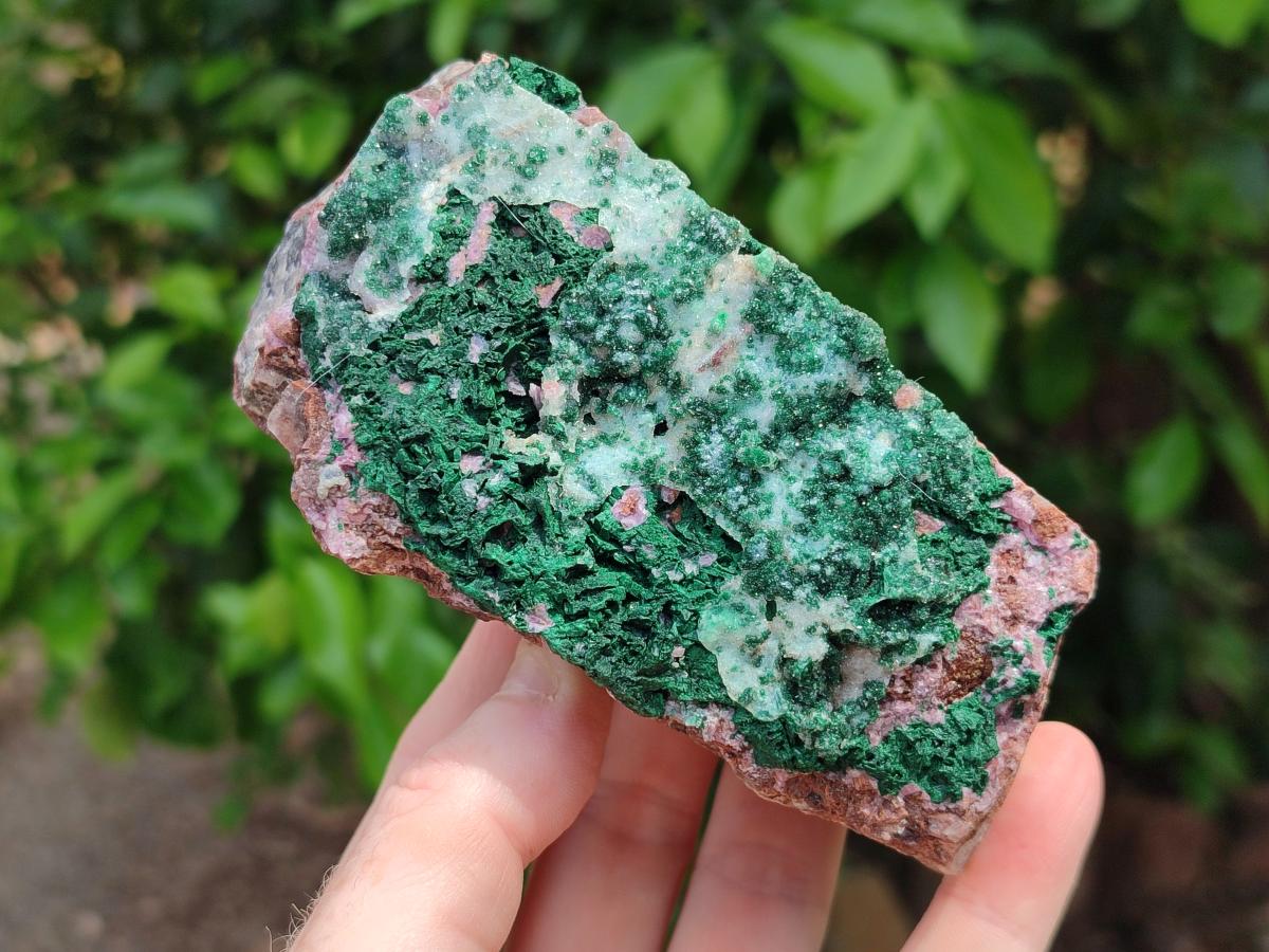 Natural Drusy Coated Malachite On Dolomite Specimens x 4 From Lupoto Mine, Congo