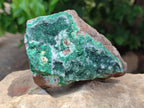 Natural Drusy Coated Malachite On Dolomite Specimens x 4 From Lupoto Mine, Congo