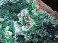 Natural Drusy Coated Malachite On Dolomite Specimens x 4 From Lupoto Mine, Congo