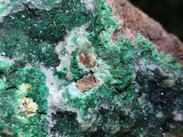 Natural Drusy Coated Malachite On Dolomite Specimens x 4 From Lupoto Mine, Congo