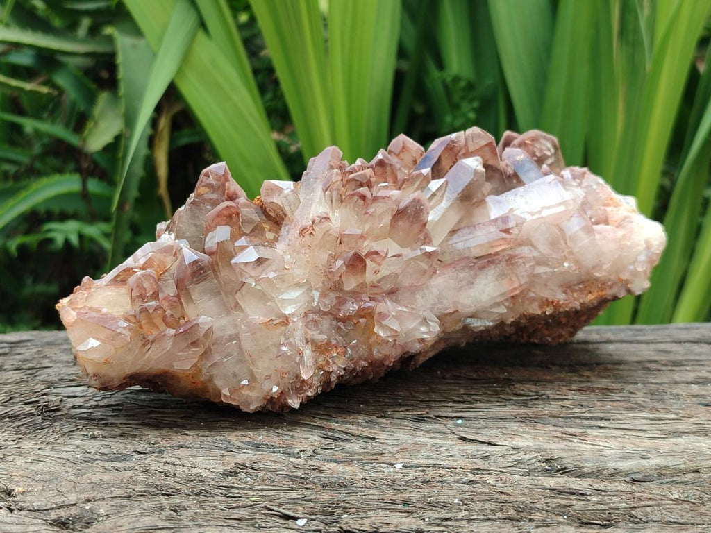 Natural Red Hematoid Quartz Clusters x 2 From Zambia