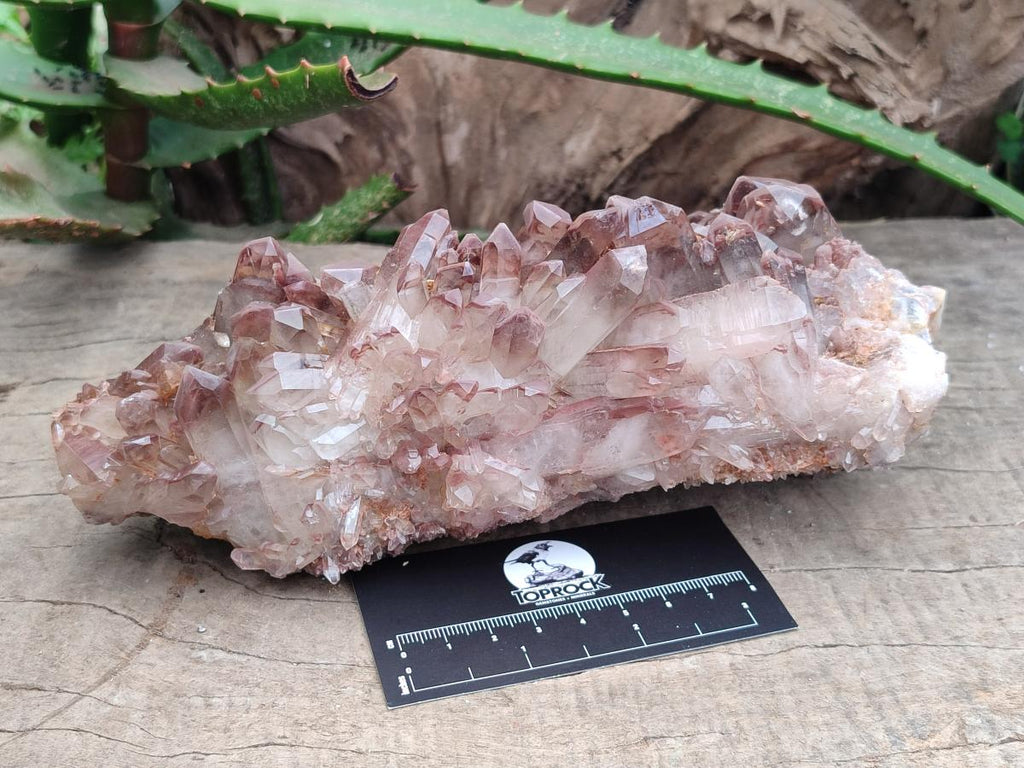 Natural Red Hematoid Quartz Clusters x 2 From Zambia