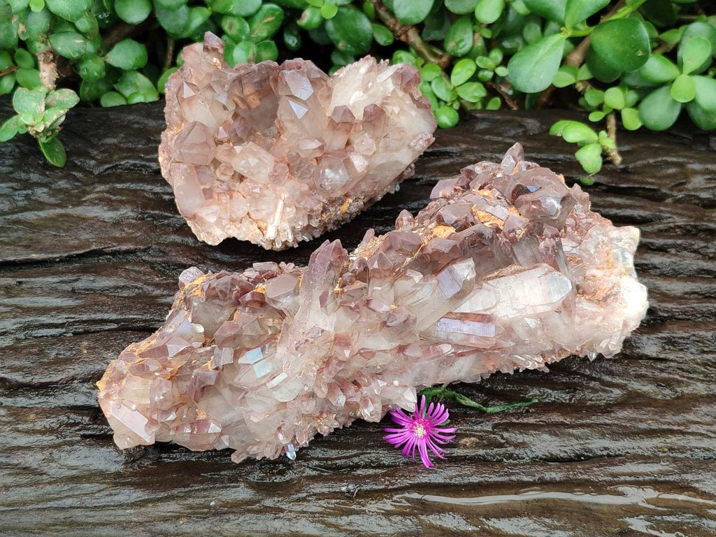 Natural Red Hematoid Quartz Clusters x 2 From Zambia