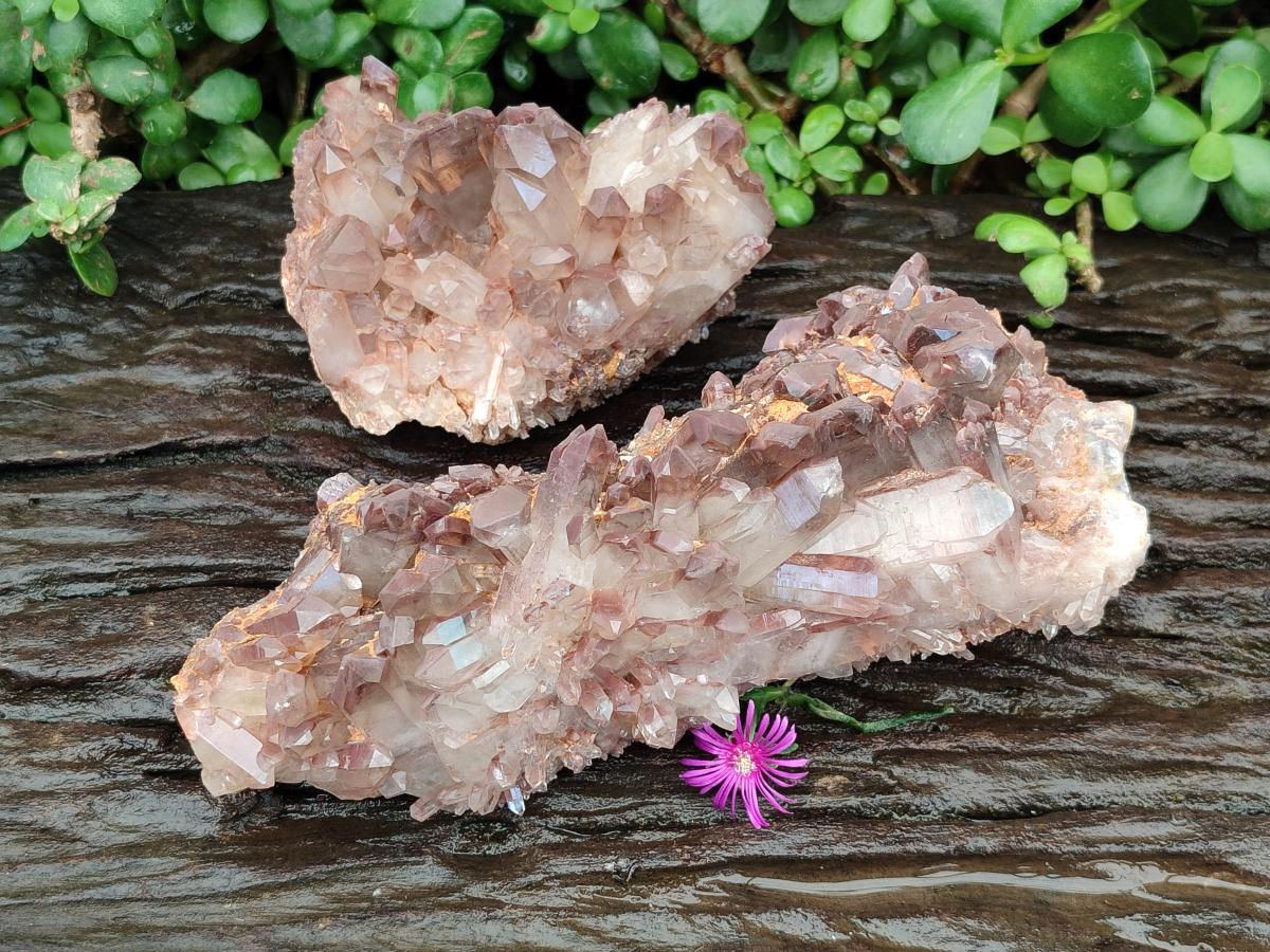 Natural Red Hematoid Quartz Clusters x 2 From Zambia