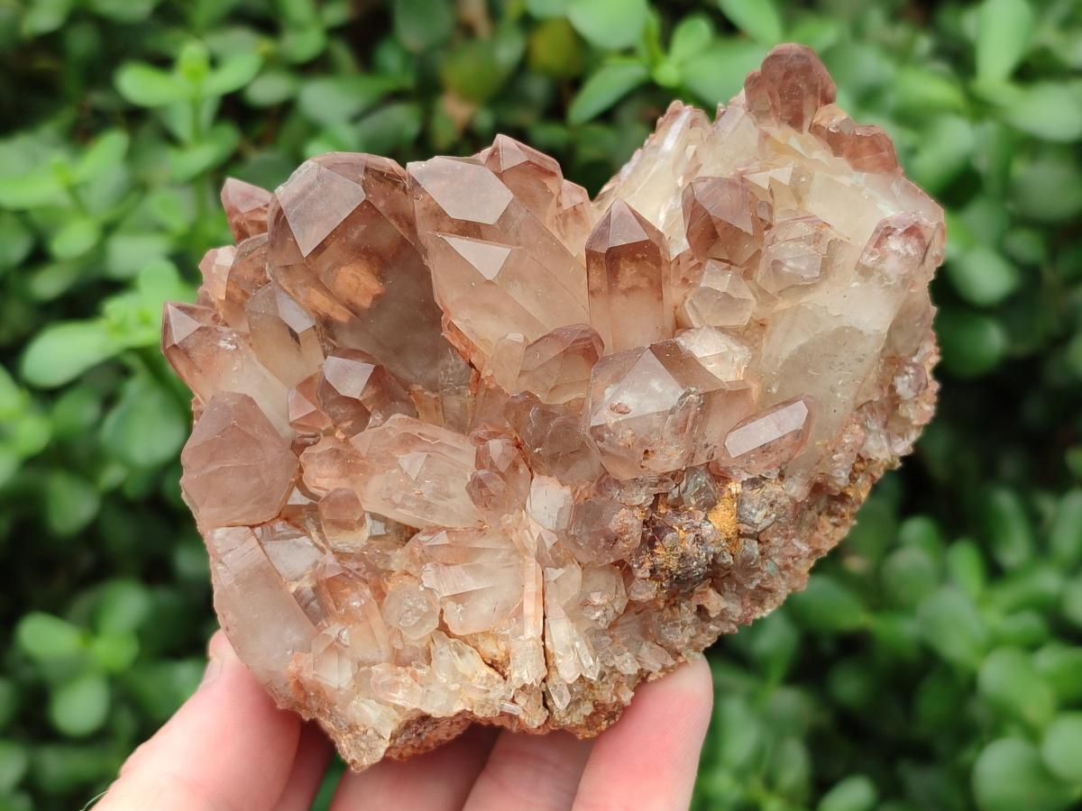 Natural Red Hematoid Quartz Clusters x 2 From Zambia