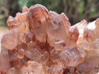 Natural Red Hematoid Quartz Clusters x 2 From Zambia