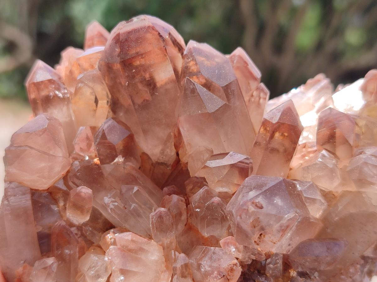 Natural Red Hematoid Quartz Clusters x 2 From Zambia