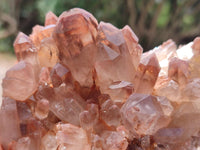 Natural Red Hematoid Quartz Clusters x 2 From Zambia