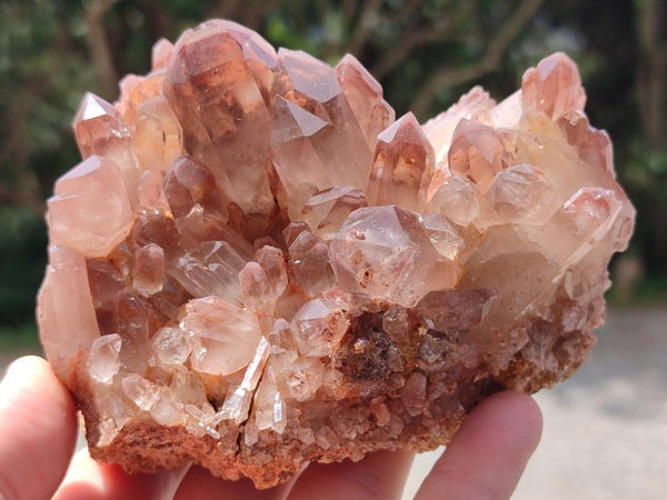 Natural Red Hematoid Quartz Clusters x 2 From Zambia