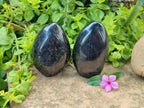 Polished Black Tourmaline Standing Free Forms x 2 From Madagascar
