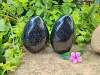 Polished Black Tourmaline Standing Free Forms x 2 From Madagascar