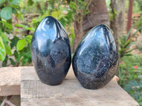 Polished Black Tourmaline Standing Free Forms x 2 From Madagascar