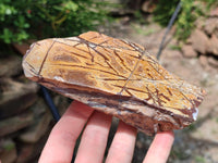Polished On One Side Nguni Jasper Specimens x 3 From Northern Cape, South Africa