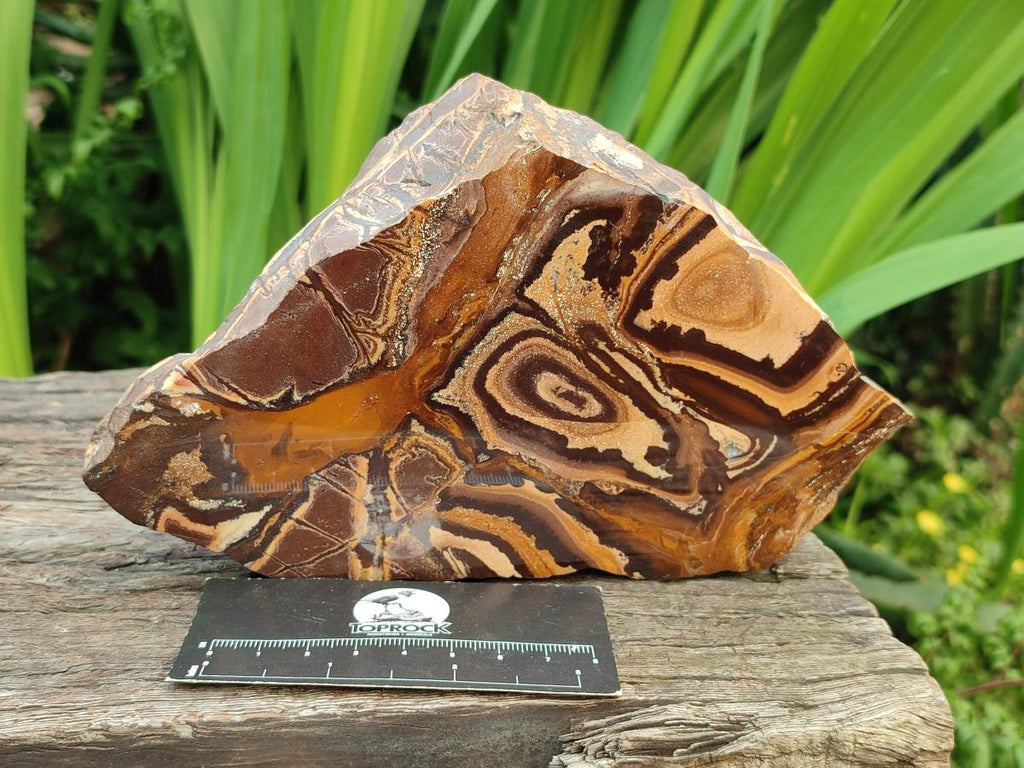 Polished On One Side Nguni Jasper Specimens x 3 From Northern Cape, South Africa