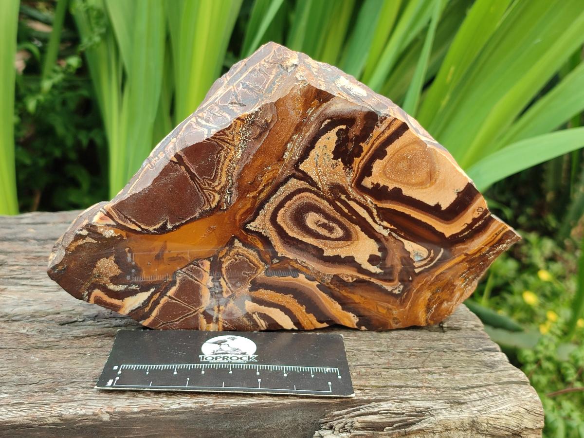 Polished On One Side Nguni Jasper Specimens x 3 From Northern Cape, South Africa