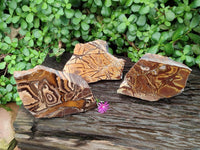 Polished On One Side Nguni Jasper Specimens x 3 From Northern Cape, South Africa