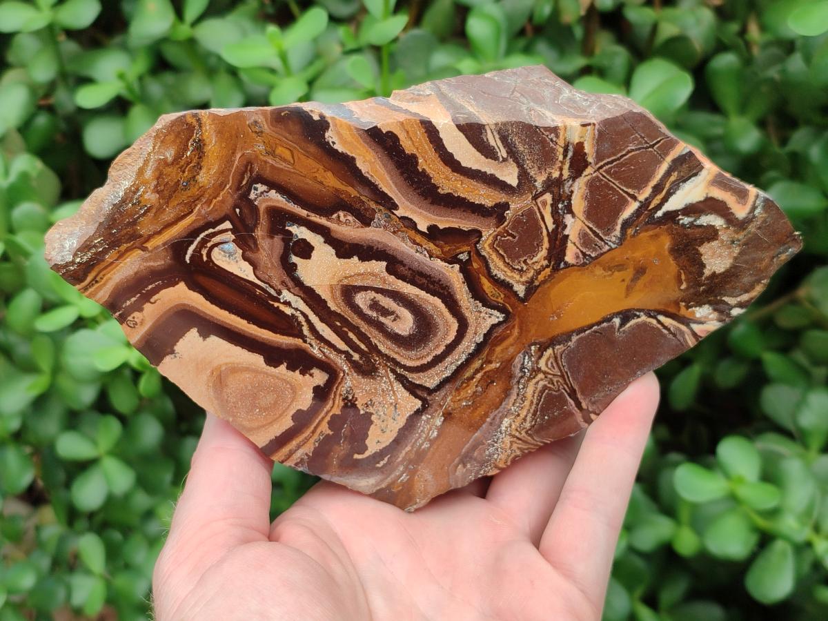 Polished On One Side Nguni Jasper Specimens x 3 From Northern Cape, South Africa