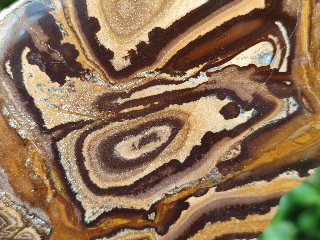 Polished On One Side Nguni Jasper Specimens x 3 From Northern Cape, South Africa