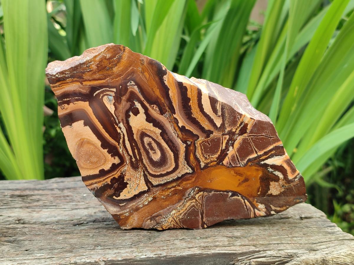 Polished On One Side Nguni Jasper Specimens x 3 From Northern Cape, South Africa