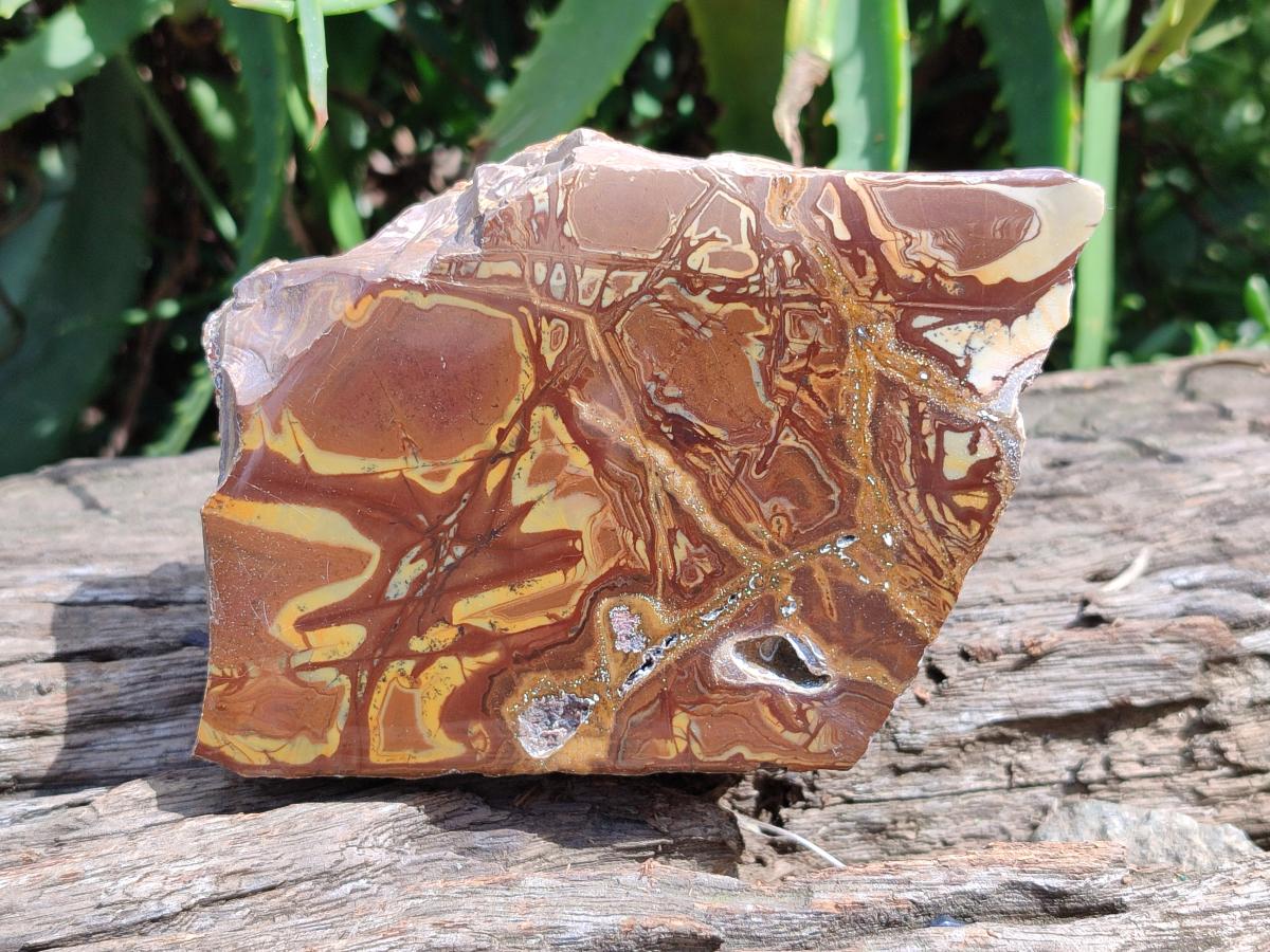 Polished On One Side Nguni Jasper Specimens x 3 From Northern Cape, South Africa