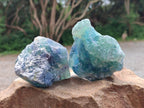 Natural Watermelon Fluorite Cobbed Specimens x 12 From Uis, Namibia