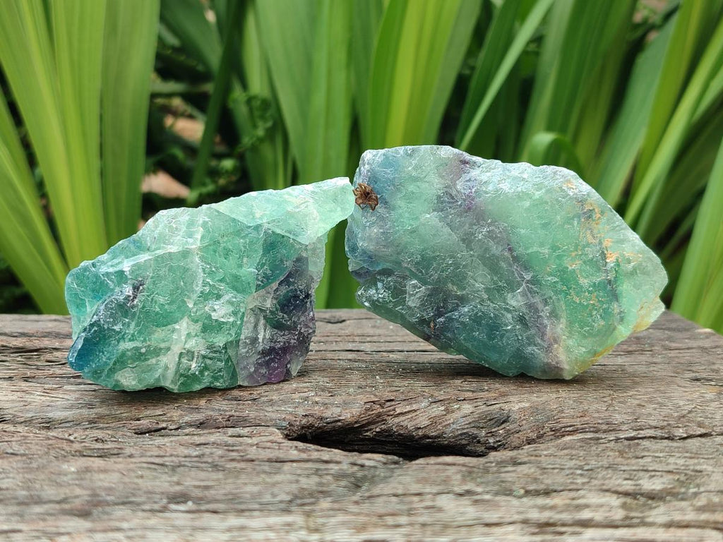 Natural Watermelon Fluorite Cobbed Specimens x 12 From Uis, Namibia