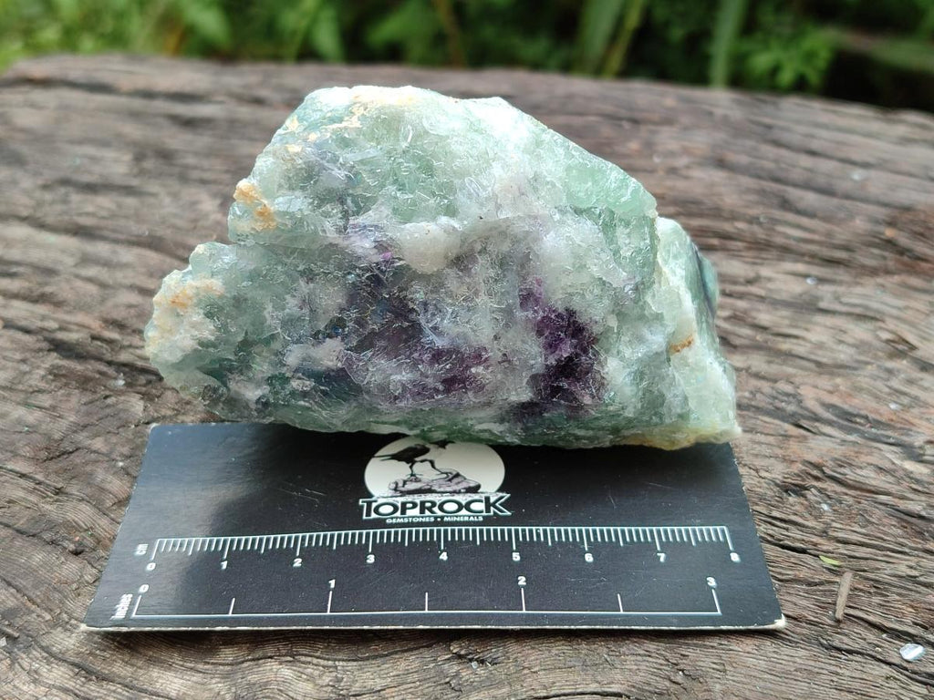 Natural Watermelon Fluorite Cobbed Specimens x 12 From Uis, Namibia