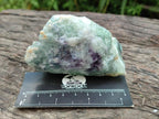 Natural Watermelon Fluorite Cobbed Specimens x 12 From Uis, Namibia