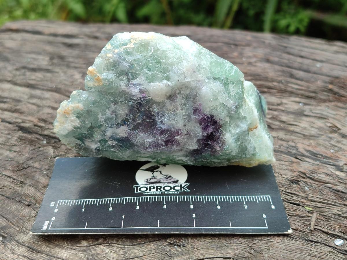 Natural Watermelon Fluorite Cobbed Specimens x 12 From Uis, Namibia