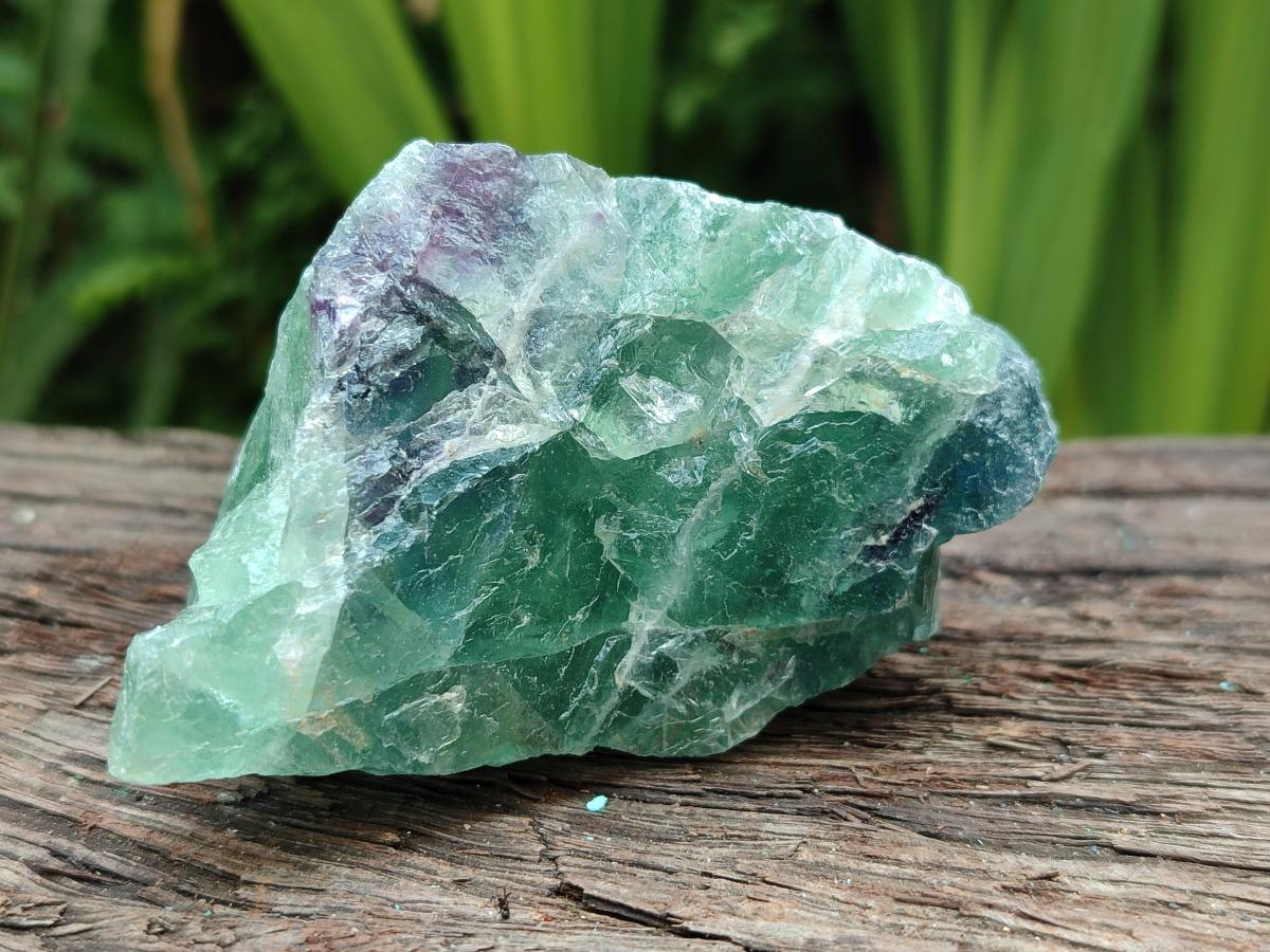 Natural Watermelon Fluorite Cobbed Specimens x 12 From Uis, Namibia