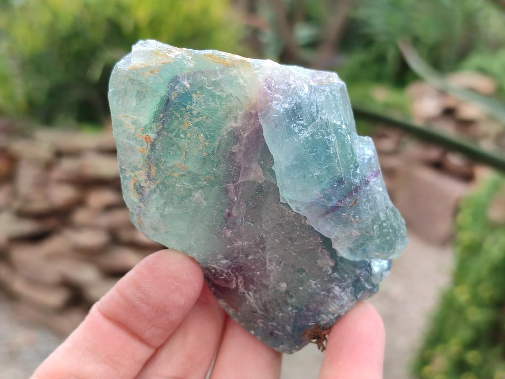 Natural Watermelon Fluorite Cobbed Specimens x 12 From Uis, Namibia