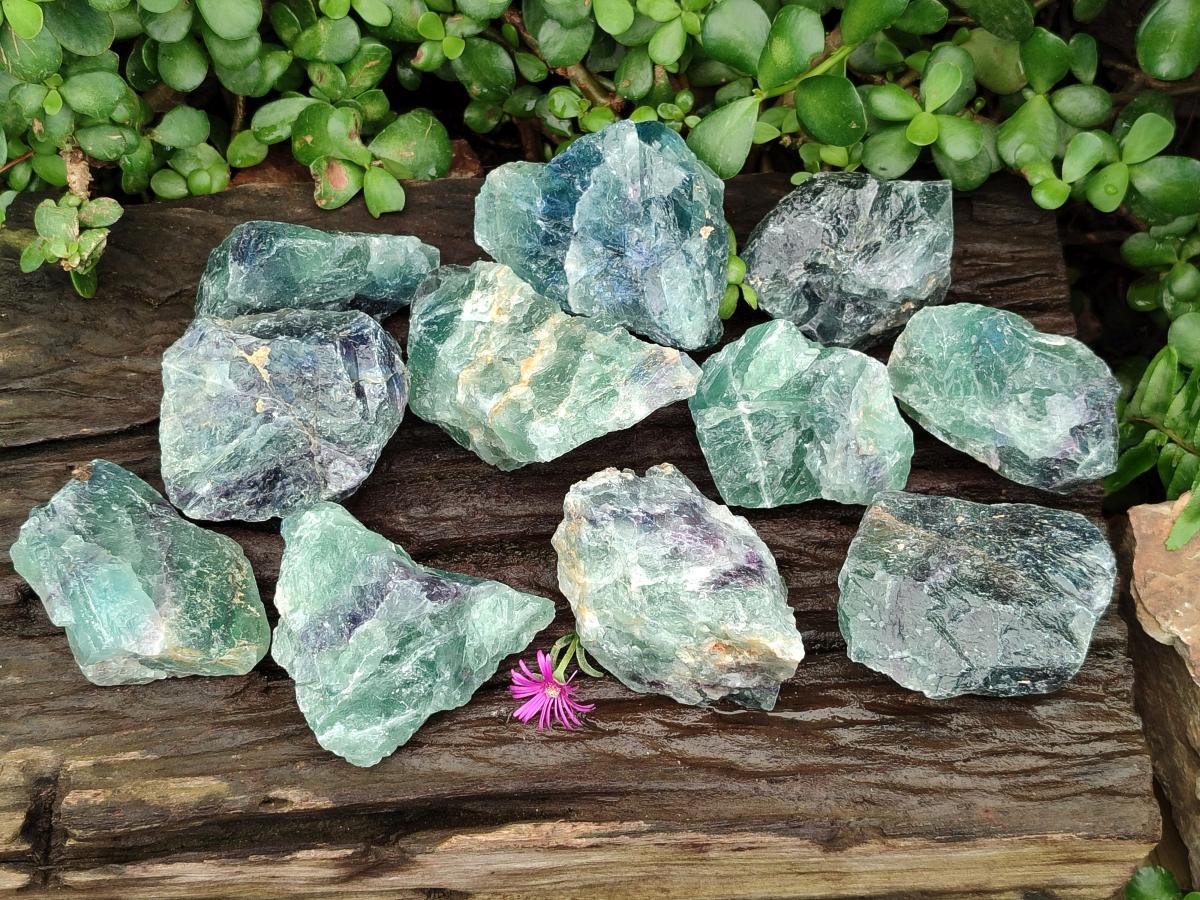 Natural Watermelon Fluorite Cobbed Specimens x 12 From Uis, Namibia