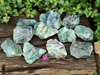 Natural Watermelon Fluorite Cobbed Specimens x 12 From Uis, Namibia