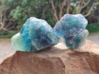 Natural Watermelon Fluorite Cobbed Specimens x 12 From Uis, Namibia