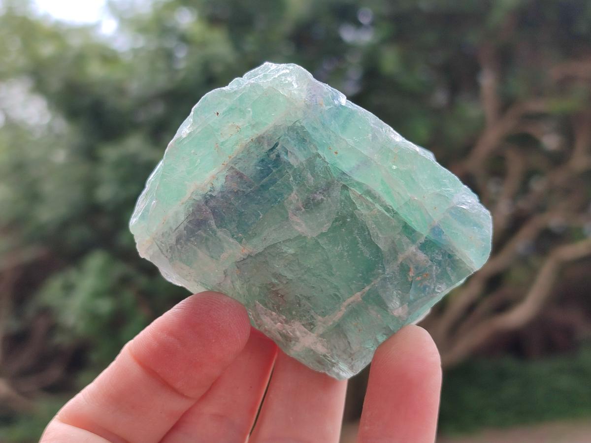 Natural Watermelon Fluorite Cobbed Specimens x 12 From Uis, Namibia