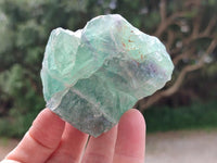 Natural Watermelon Fluorite Cobbed Specimens x 12 From Uis, Namibia