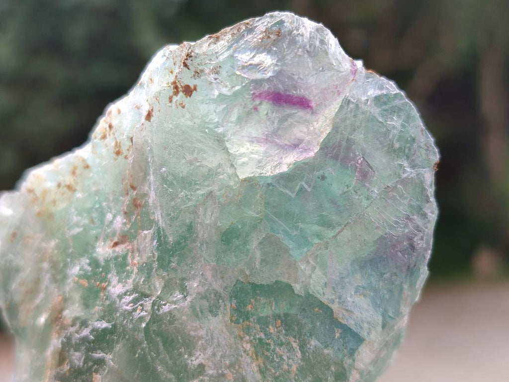 Natural Watermelon Fluorite Cobbed Specimens x 12 From Uis, Namibia