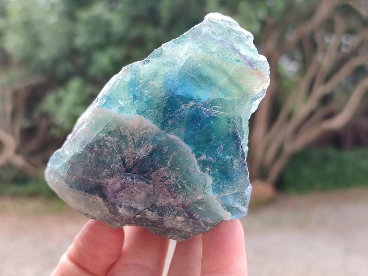 Natural Watermelon Fluorite Cobbed Specimens x 12 From Uis, Namibia